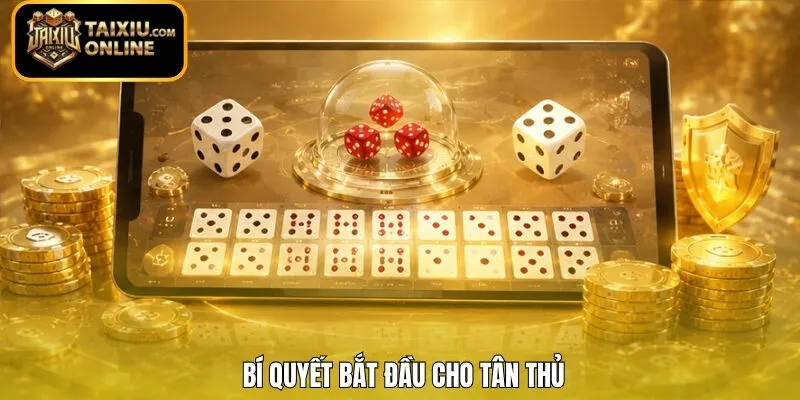 Bí quyết bắt đầu cho tân thủ