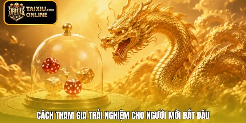 Cách tham gia trải nghiệm cho người mới bắt đầu